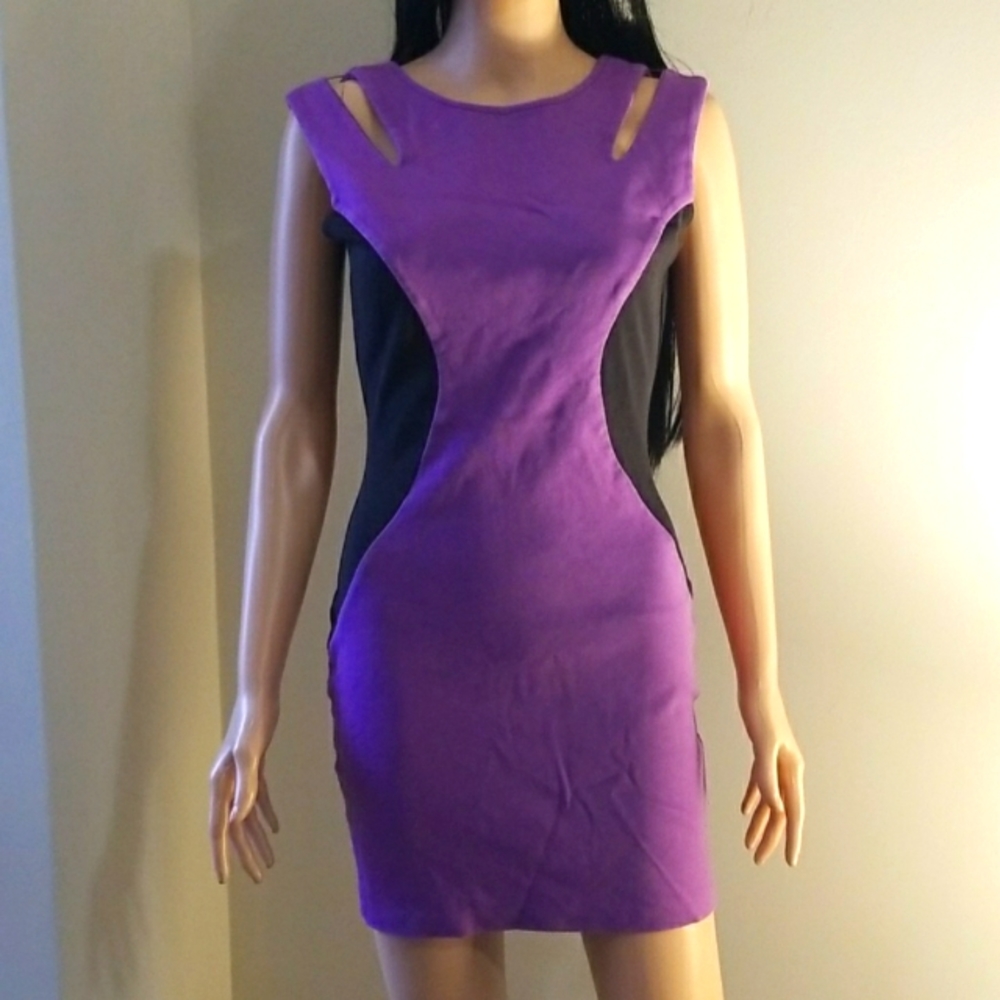 Purple Dress size 6